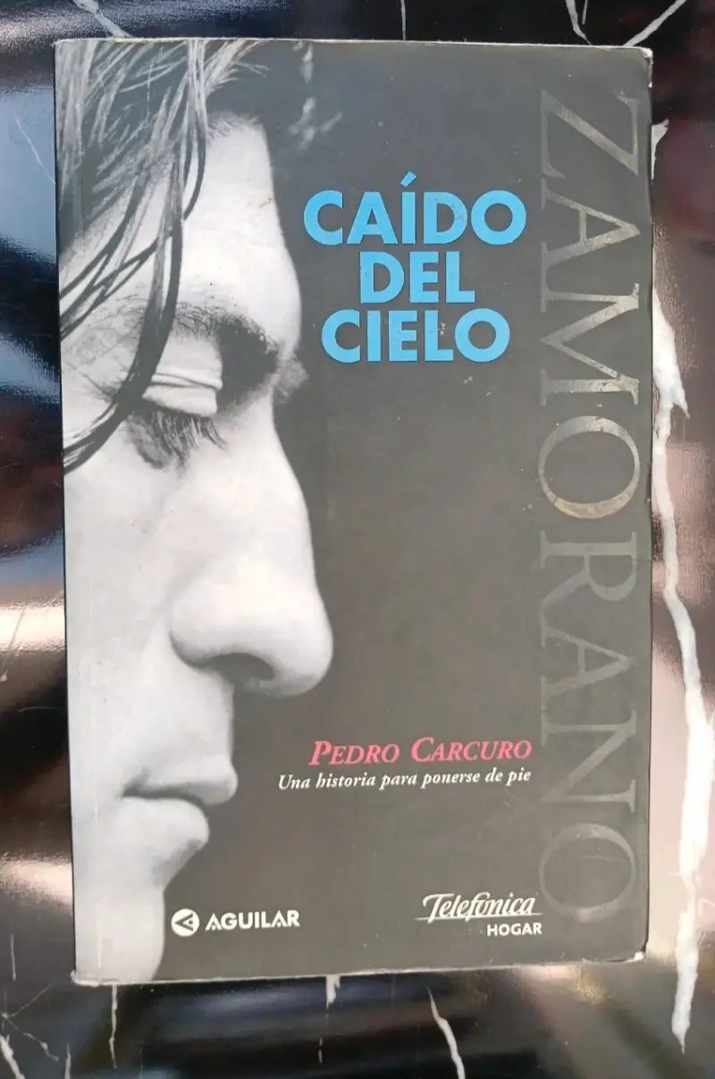 Libro Caído del Cielo de Zamorano