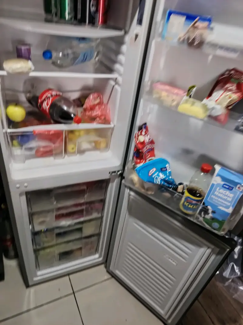 Refrigerador Mademsa dos puertas - 2