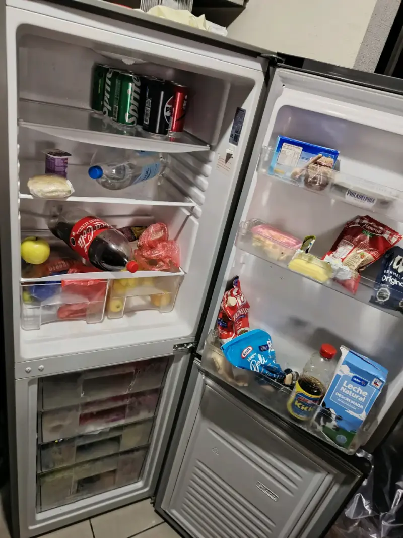 Refrigerador Mademsa dos puertas - 3