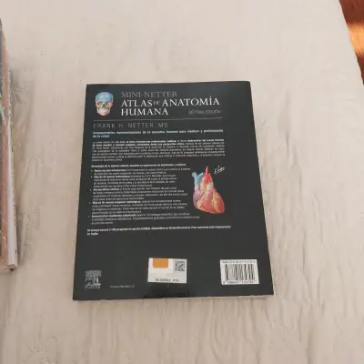 Atlas de Anatomía Humana Netter (mini) - miniatura 2