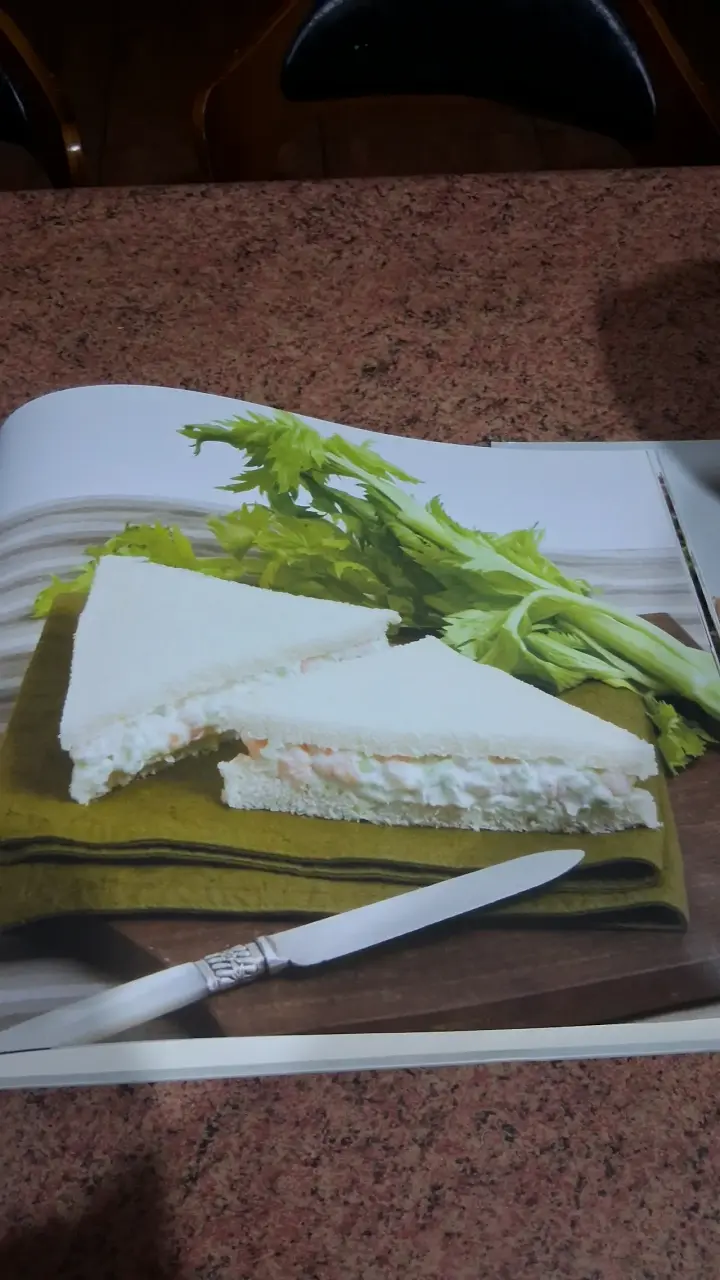 Libro El Sánguche Juana Muzard - 3