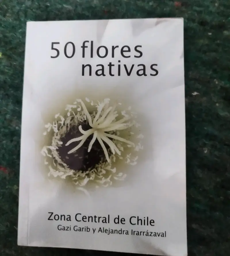 Set de libros sobre naturaleza chilena - 3