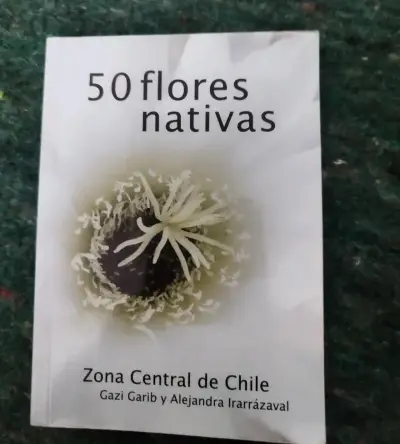 Set de libros sobre naturaleza chilena - miniatura 3