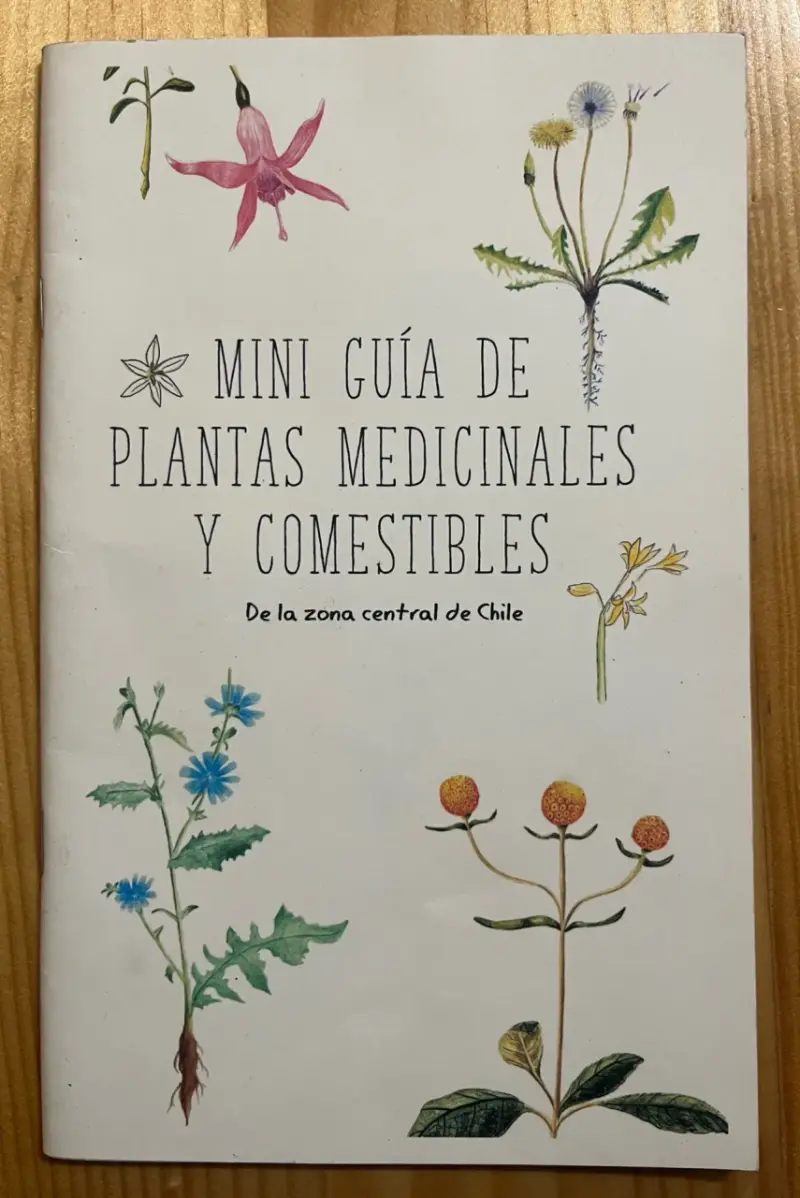 Mini guía de plantas medicinales