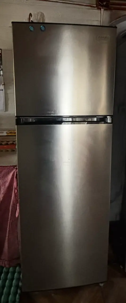 Refrigerador de acero inoxidable - 1
