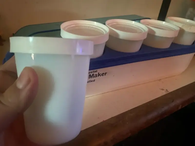 Máquina para hacer yogurt Salton vintage - 4