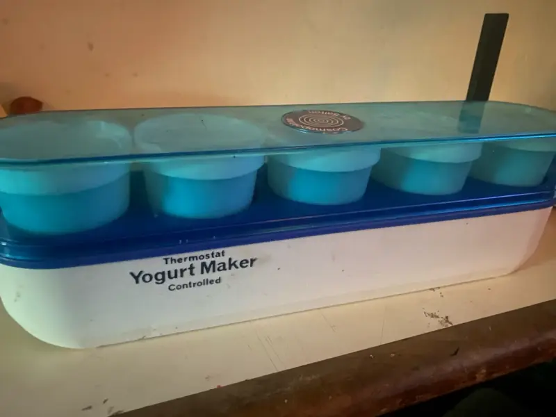 Máquina para hacer yogurt Salton vintage - 6