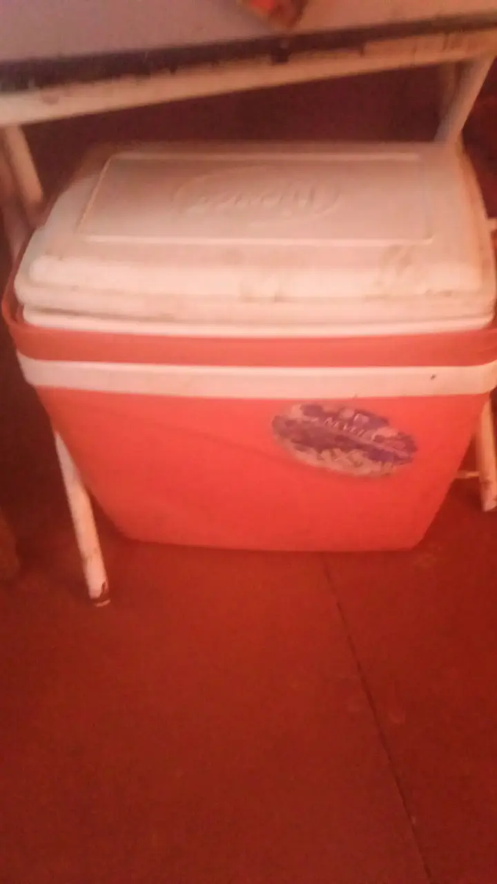 Cooler Igloo naranja mediano