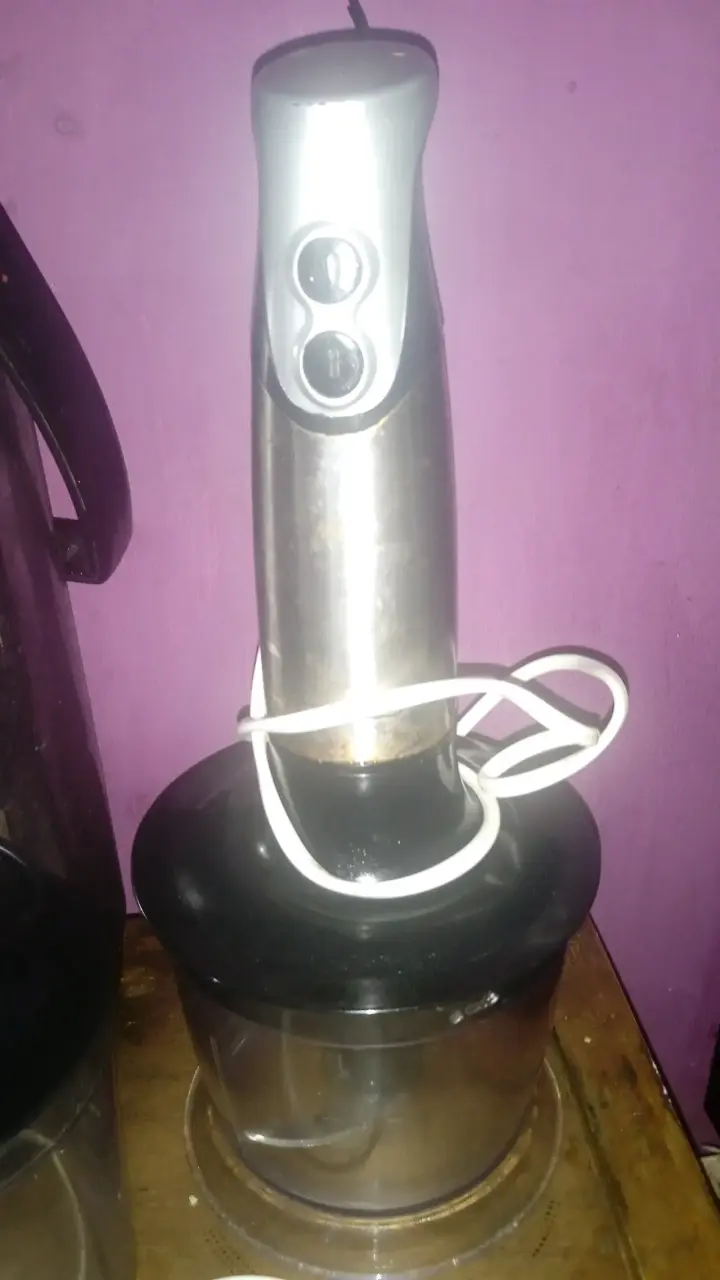 Licuadora de inmersión de acero