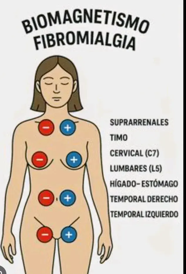 Terapia de Biomagnetismo - 5
