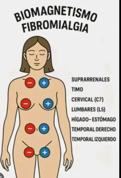 Terapia de Biomagnetismo - miniatura 5