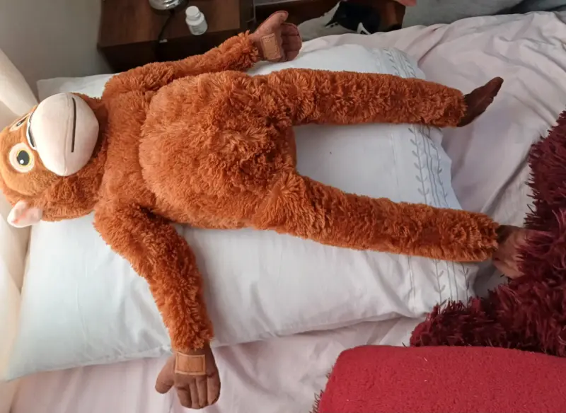 Punch Monito viral tik tok - 6