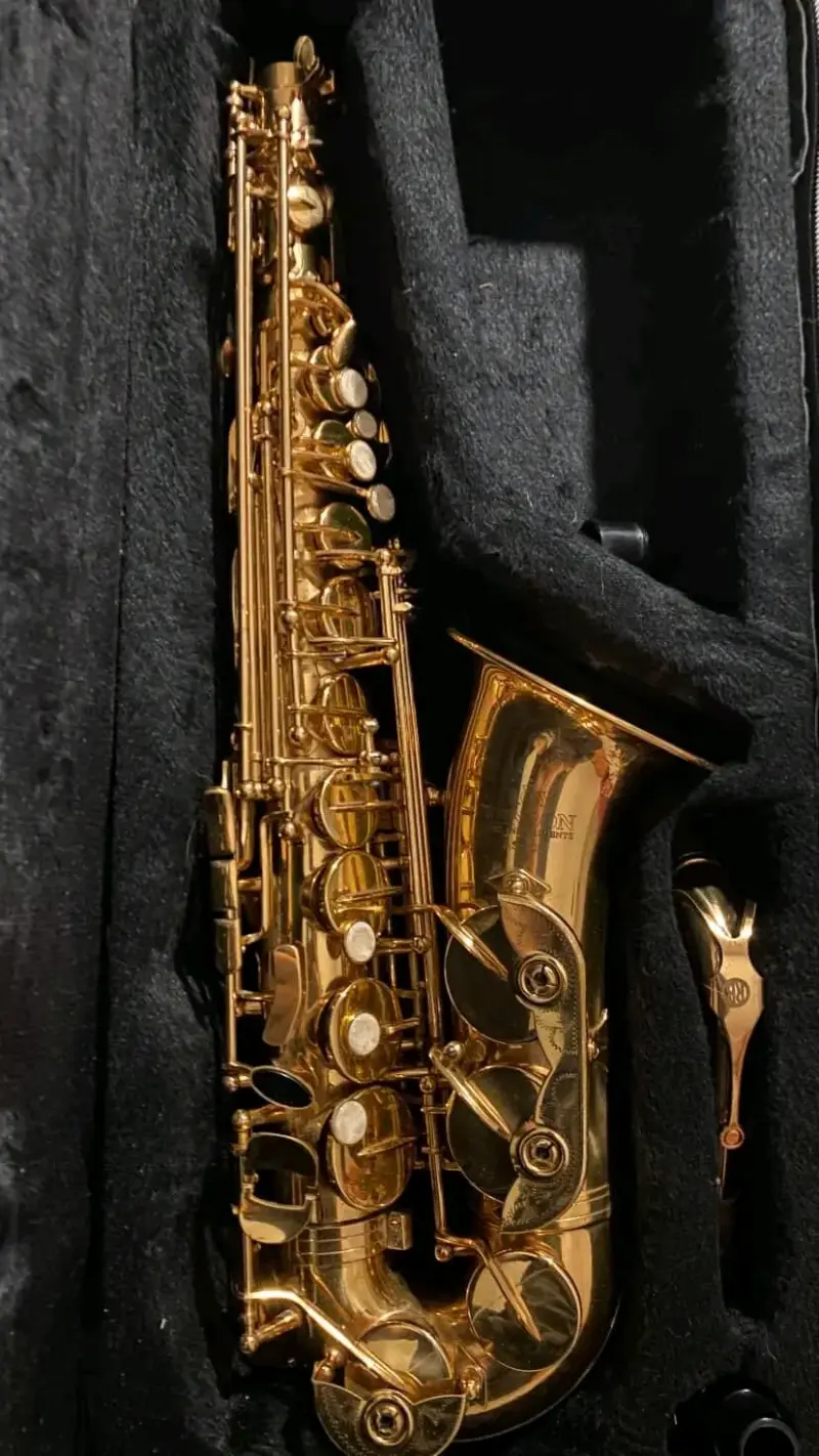 Saxofón roy benson as-202 - 2