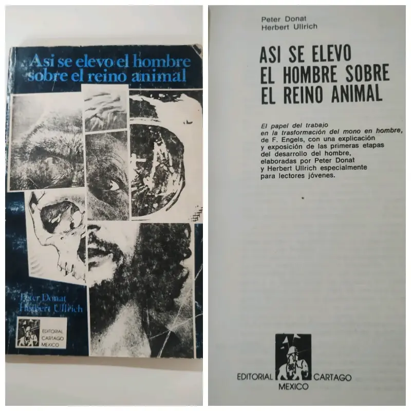 Así se elevó el hombre sobre el reino animal - 1