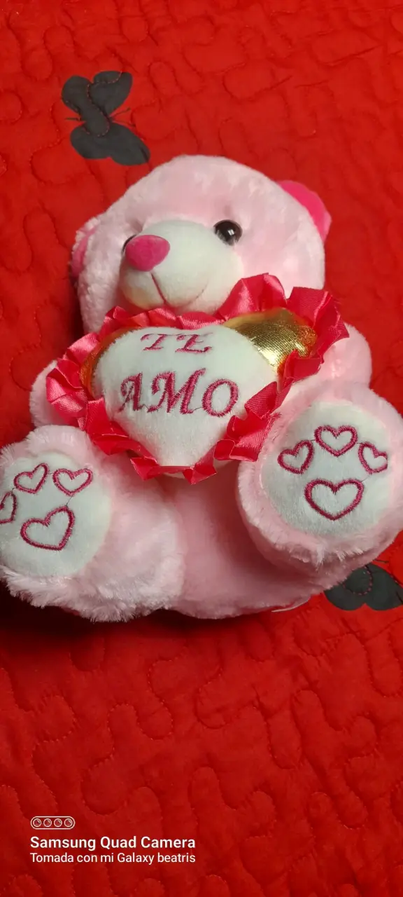 Peluche rosa 'Te Amo' - 1