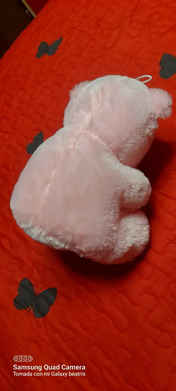 Peluche rosa 'Te Amo' - 2