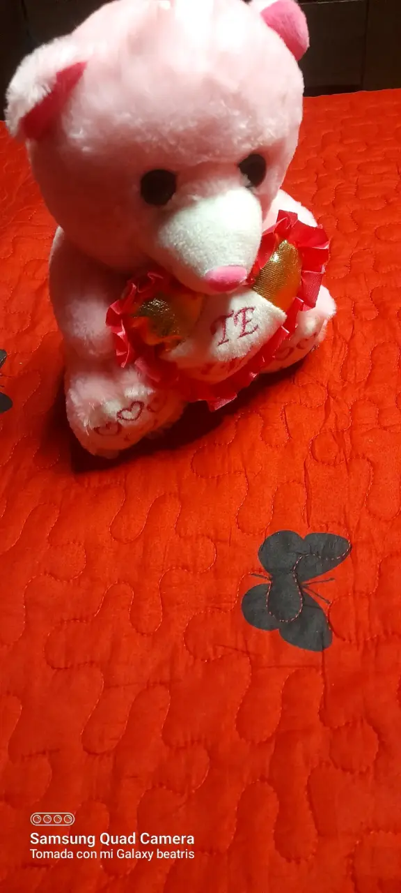 Peluche rosa 'Te Amo' - 3