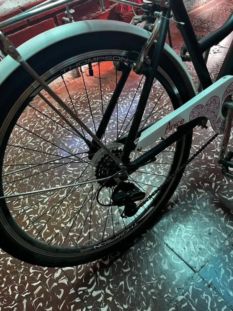 Bicicleta urbana Thompson negra - 6
