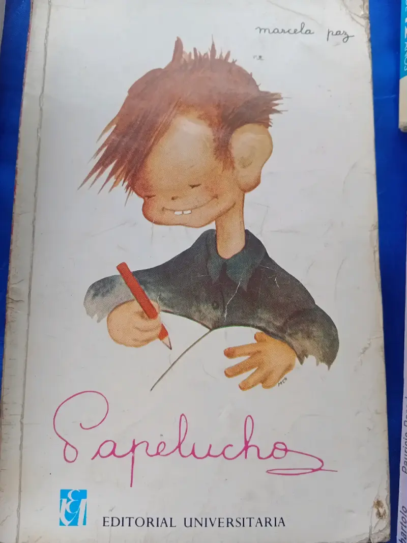 Variedad de papelucho - 1