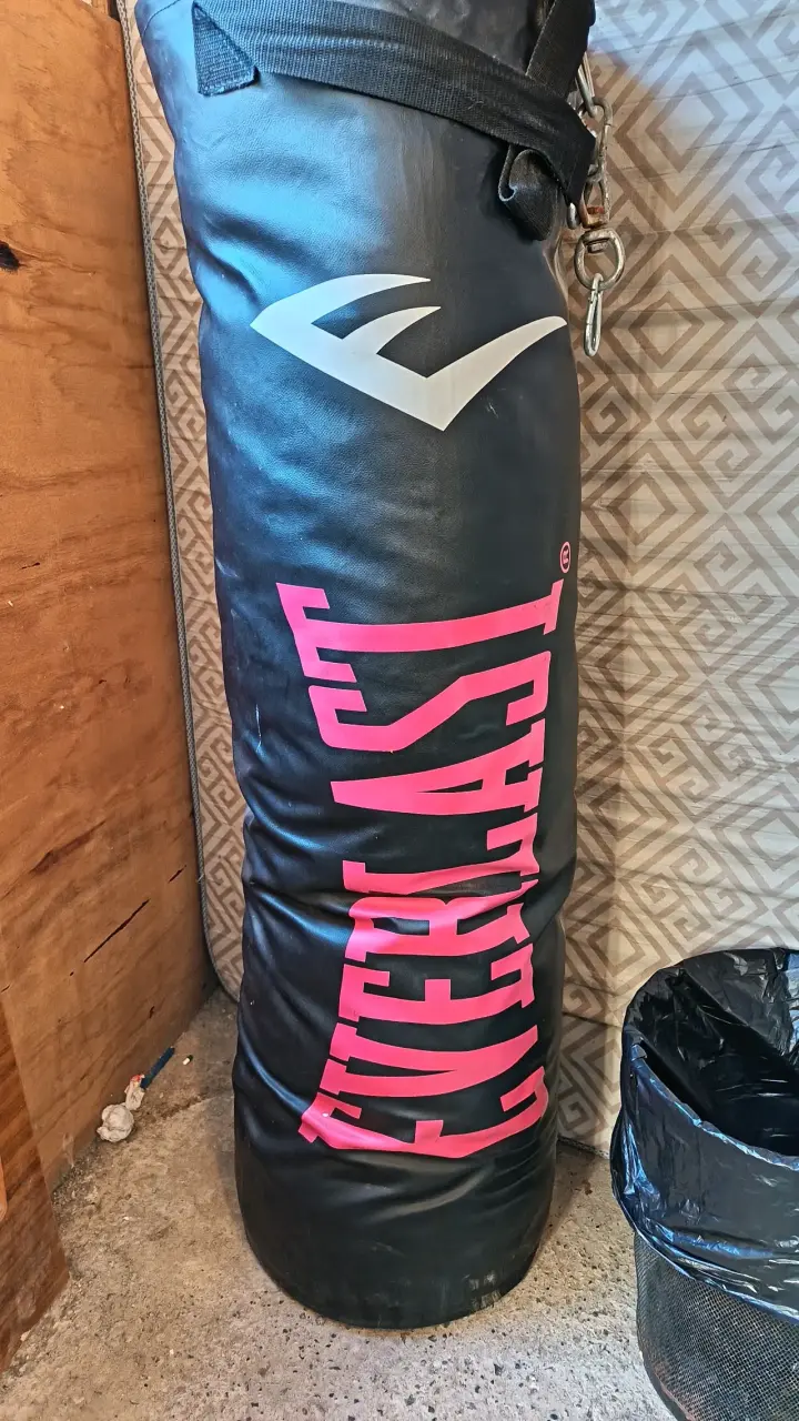 Saco de boxeo Everlast grande