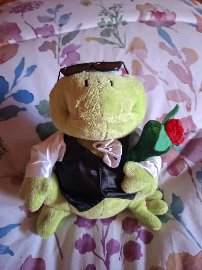 Peluche rana elegante