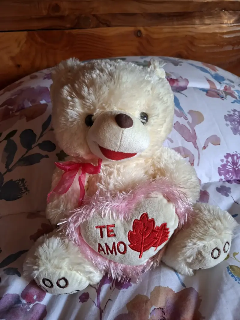 Osito de peluche 'Te Amo'