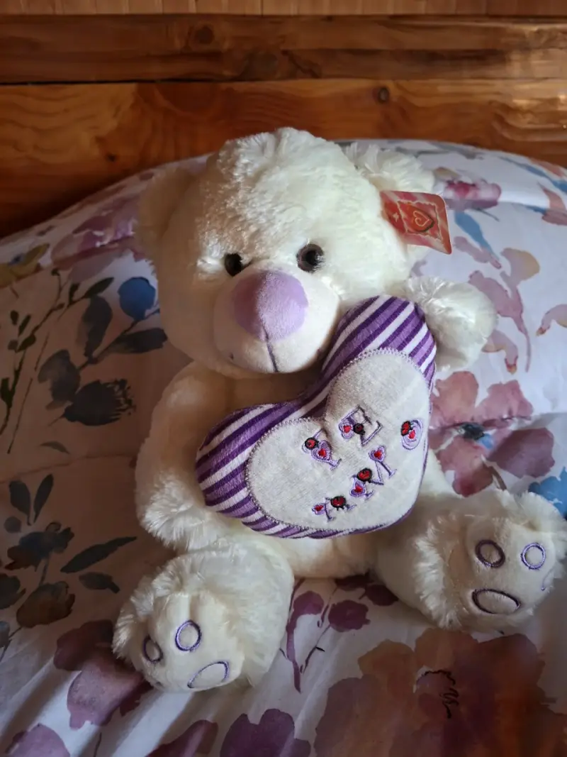 Osito de peluche blanco con corazón