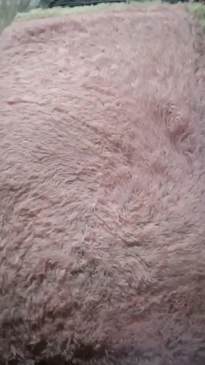 Alfombra peluda blanca - miniatura 6