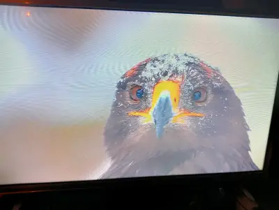 Televisor de pantalla plana 32" - miniatura 1