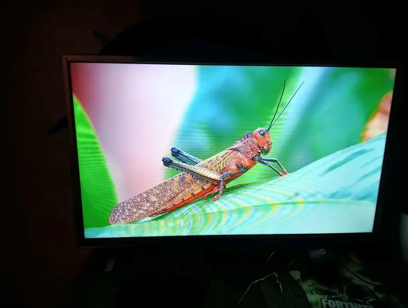 Televisor de pantalla plana 32" - 3