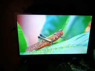 Televisor de pantalla plana 32" - miniatura 3