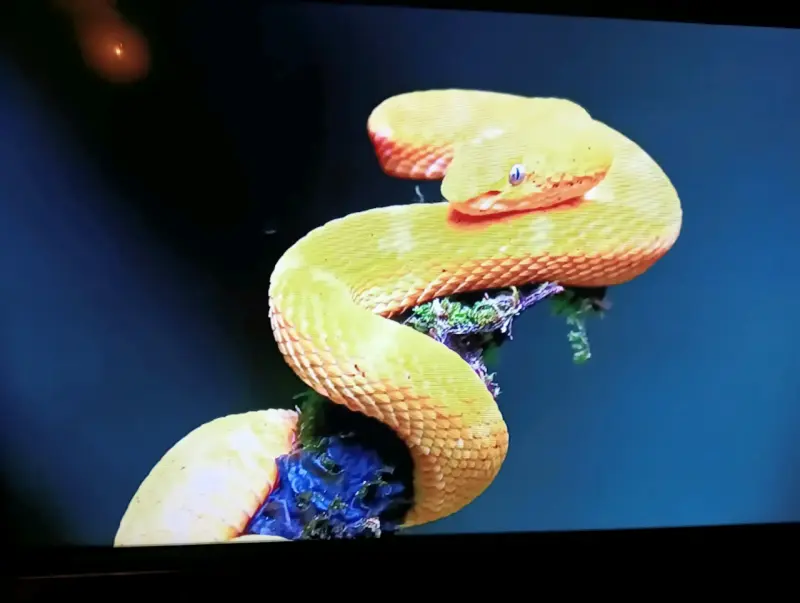 Televisor de pantalla plana 32" - 4