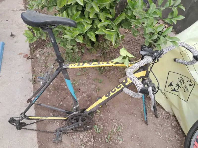Bicicleta y ruedas (ruta) - 3