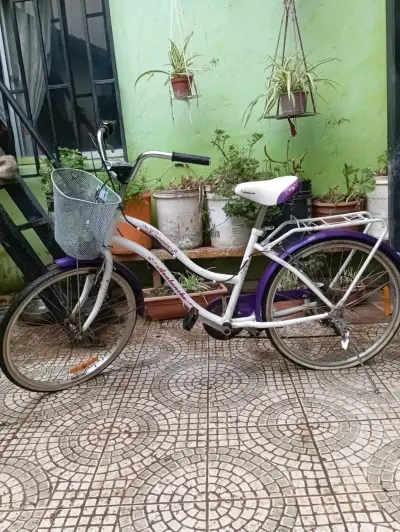 Bicicleta vintage morada con canasto - miniatura 1
