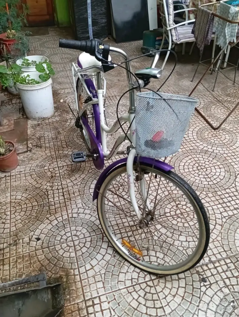 Bicicleta vintage morada con canasto - 2