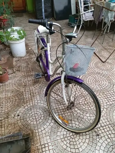 Bicicleta vintage morada con canasto - miniatura 2