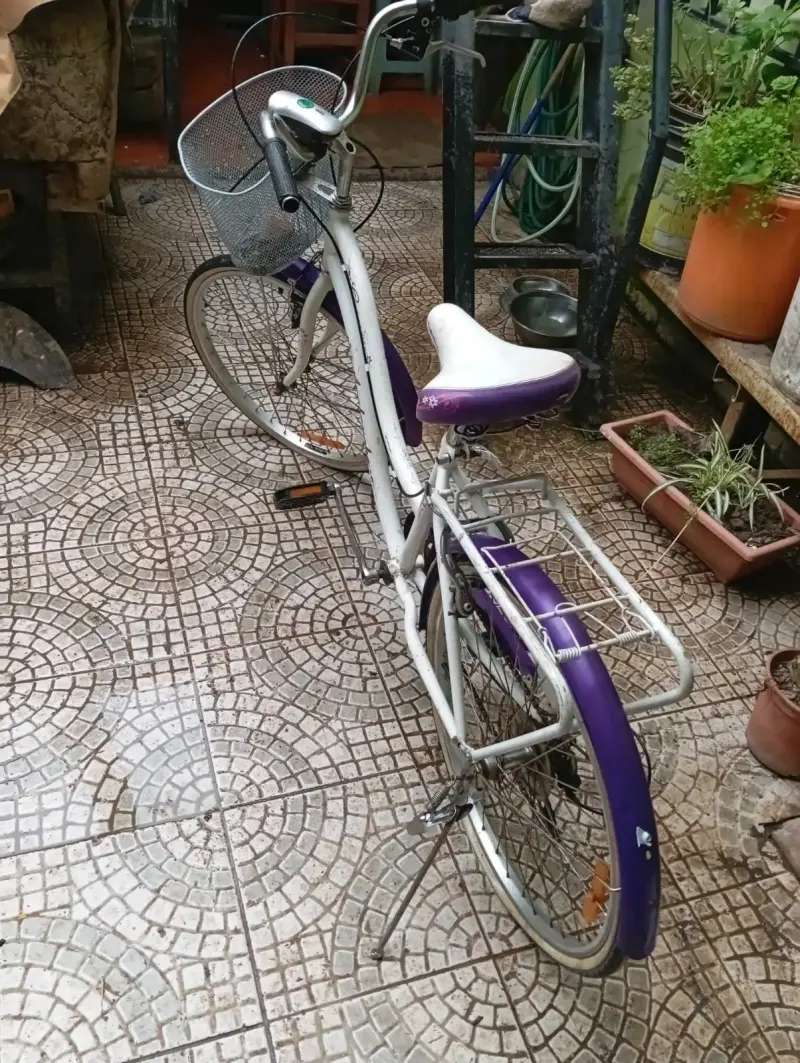 Bicicleta vintage morada con canasto - 4