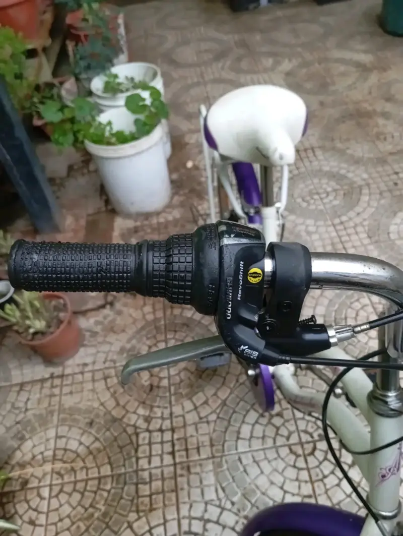 Bicicleta vintage morada con canasto - 5