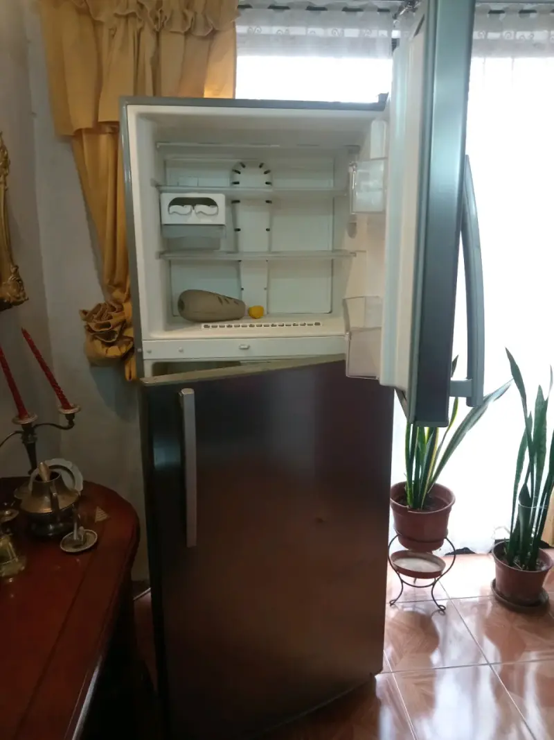 Refrigerador de dos puertas - 1