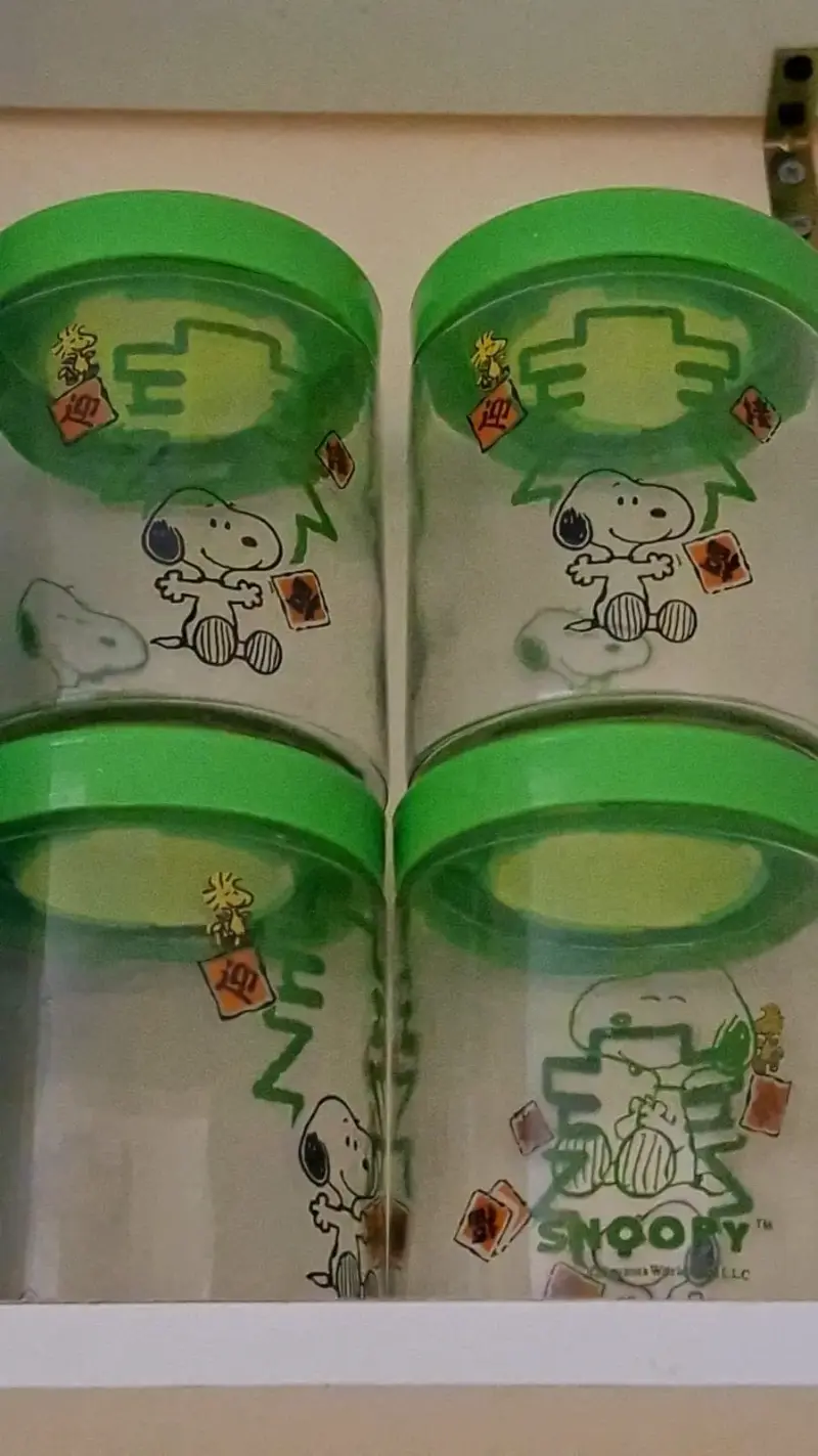 Fracos Snoopy con tapa verde