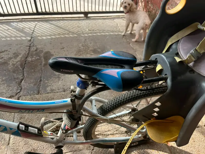 Bicicleta Trinx con silla infantil - 2