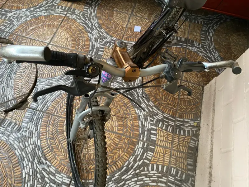 Bicicleta Bianchi DSX 26 pulgadas - 4