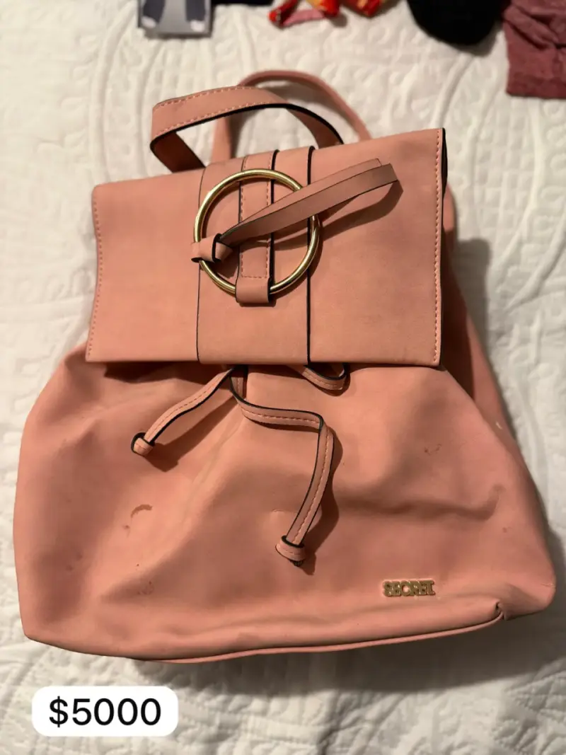 Mochila rosada con hebilla dorada