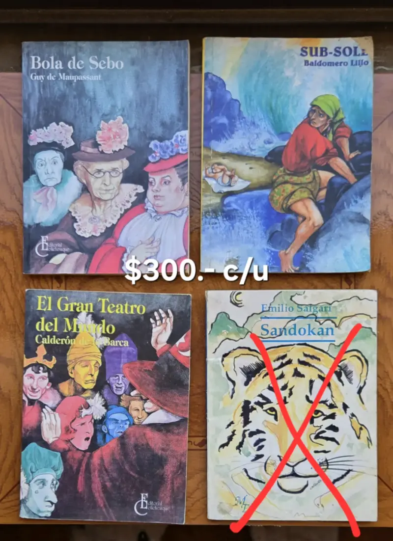 Set de 23 libros - 2