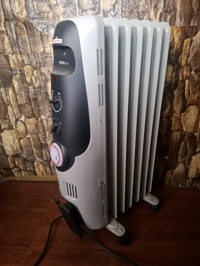 Calefactor eléctrico - miniatura 1