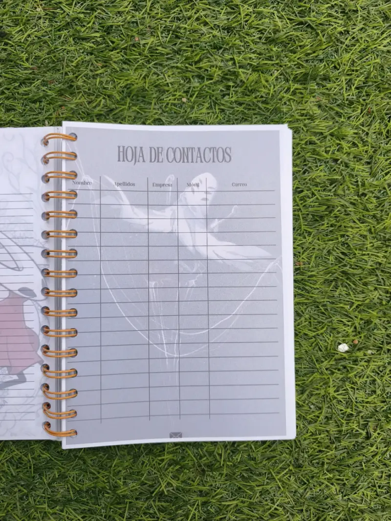 Agenda personalizada silksong - 4