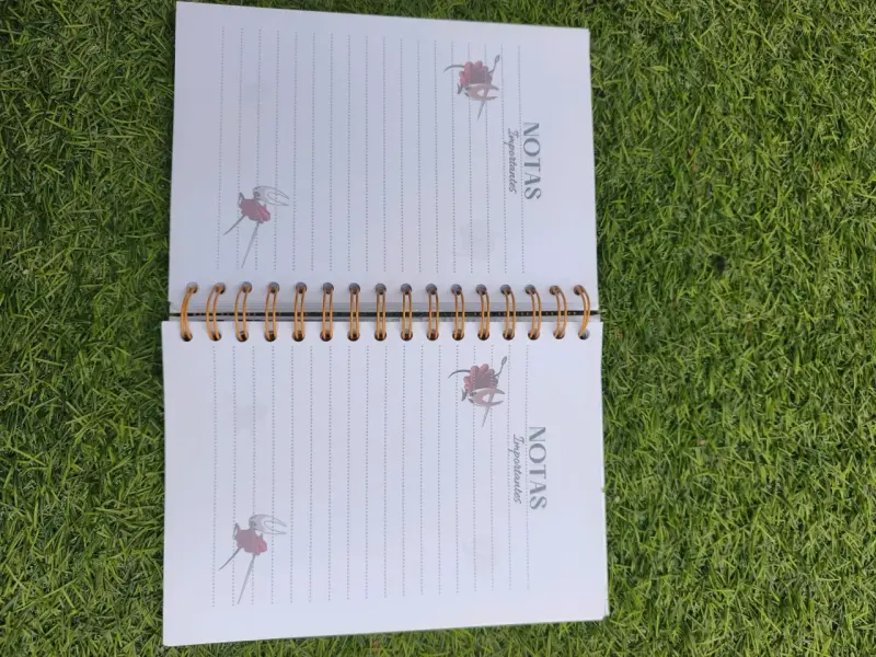 Agenda personalizada silksong - 5