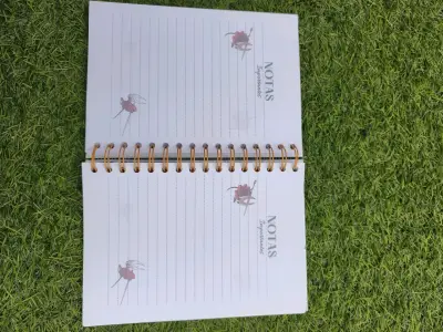 Agenda personalizada silksong - miniatura 5