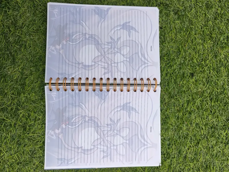 Agenda personalizada silksong - 6
