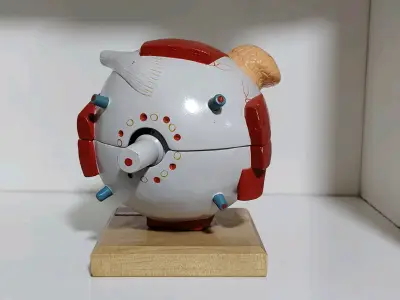 Modelo anatómico de ojo humano - miniatura 2